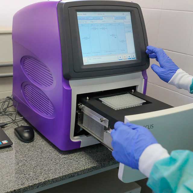 Médico analisando exame em computador